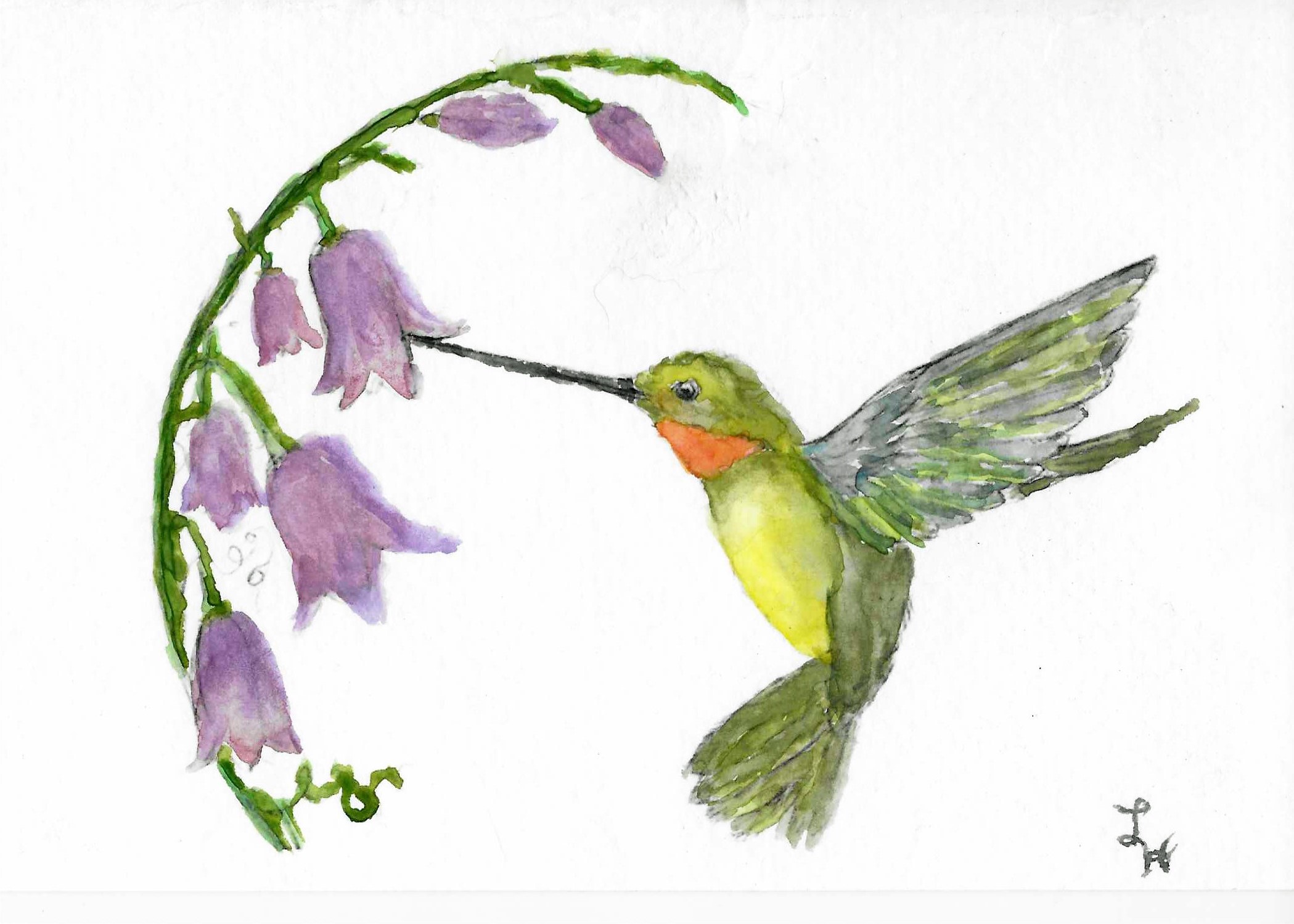 HummingBird