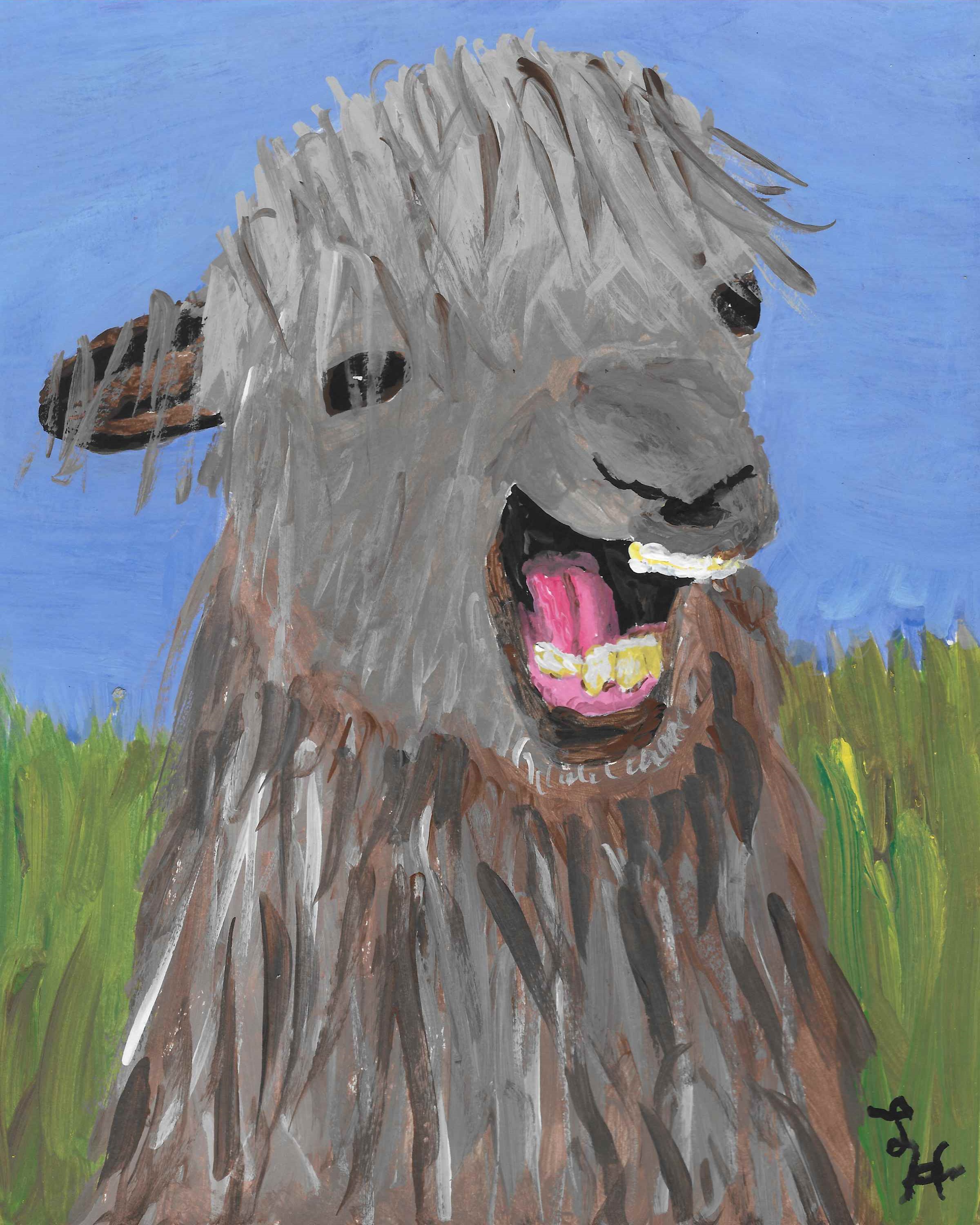 Llama