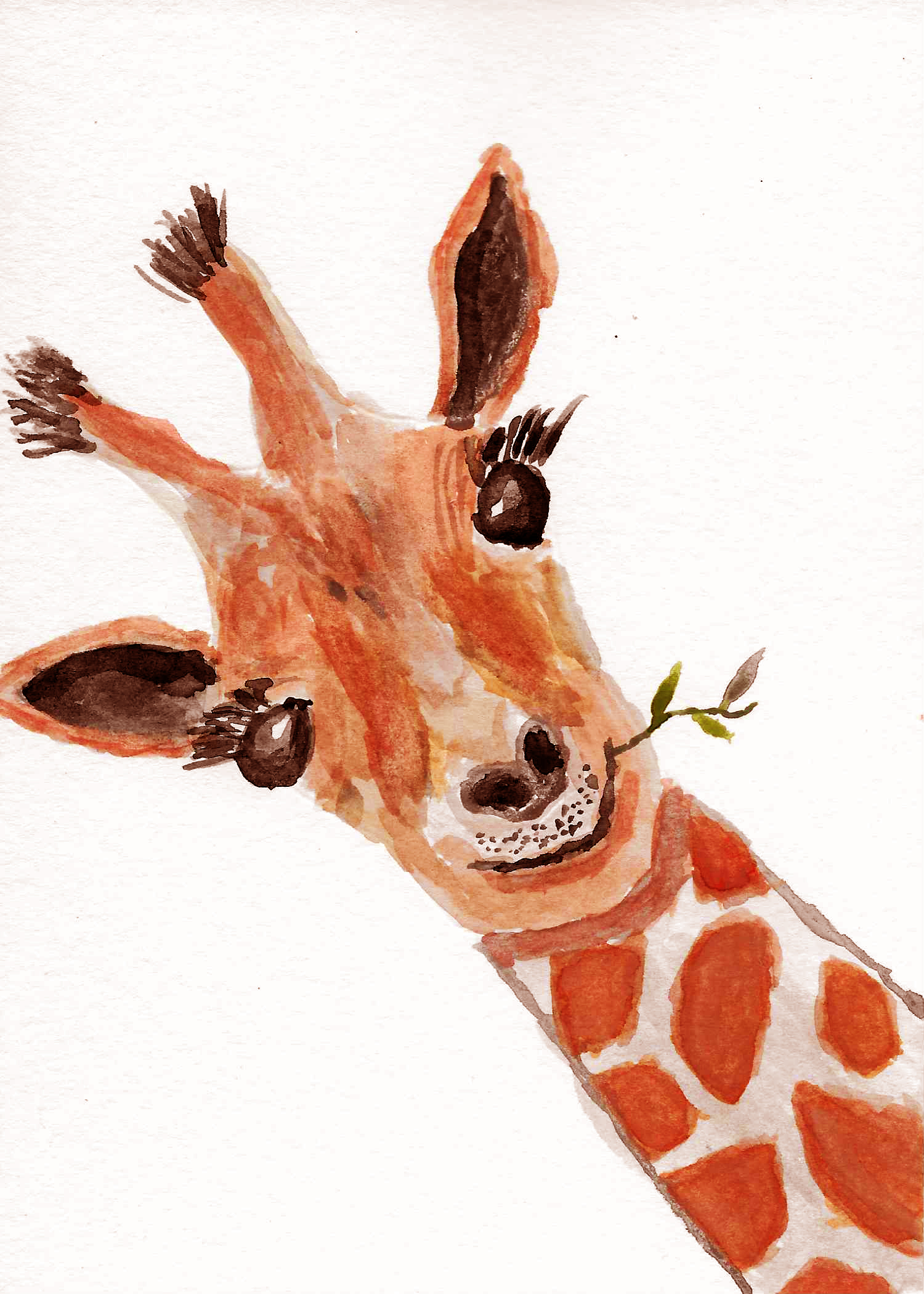 giraffe