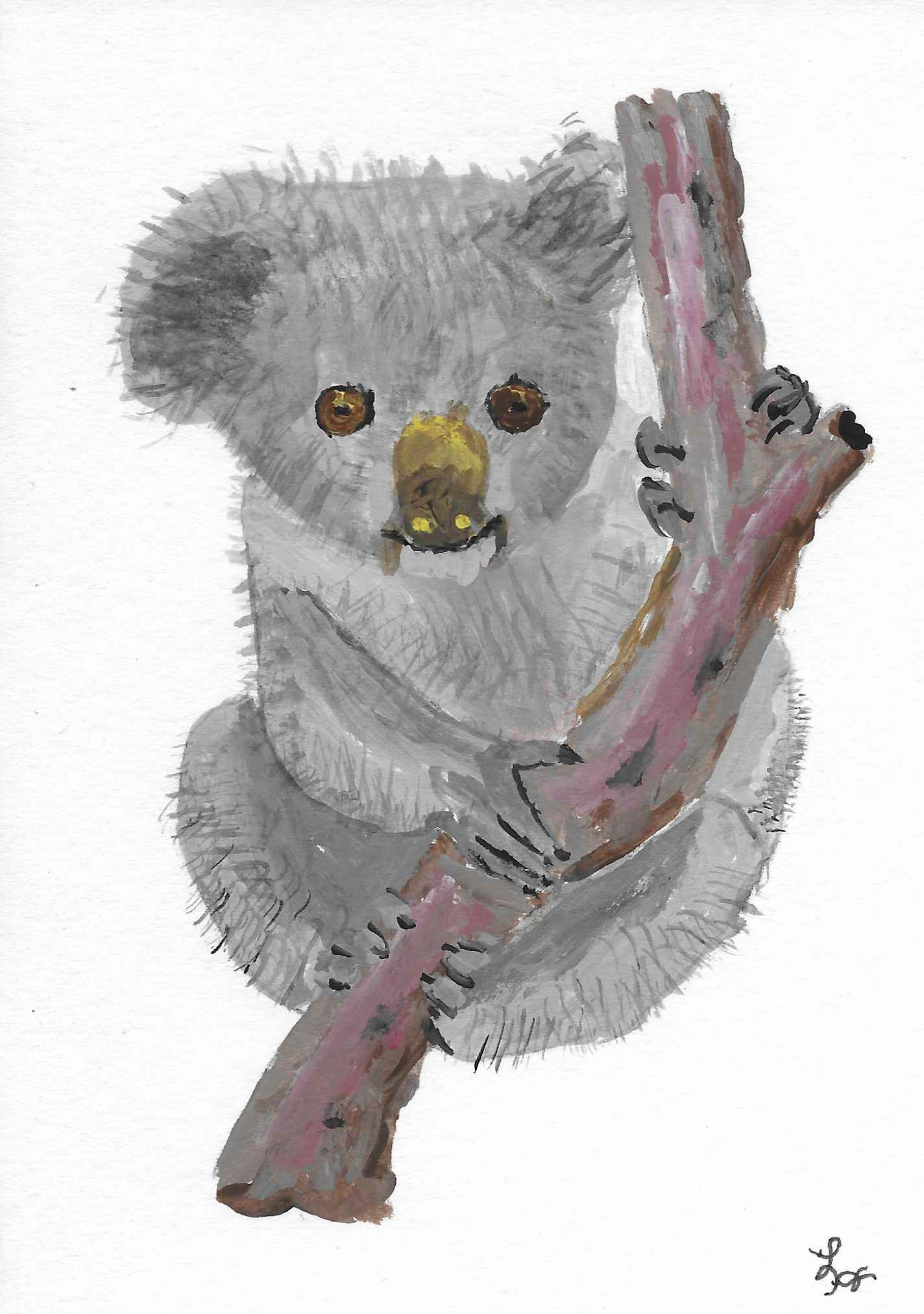 koala